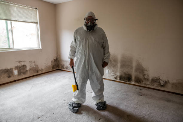 Best Professional Mold Removal  in Scott, LA